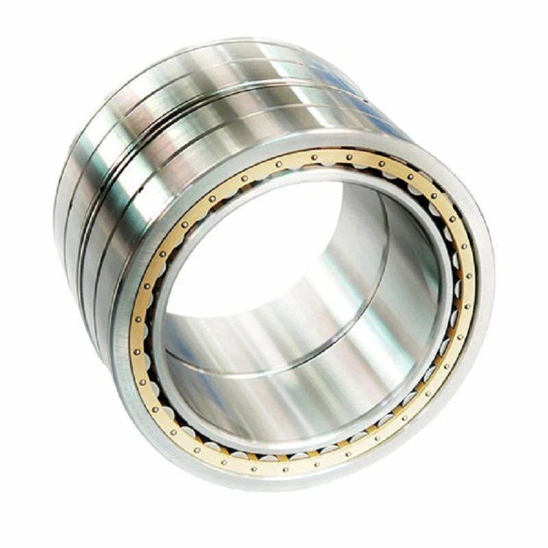 Full Complement Roller Bearings for FAG