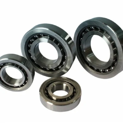 Ball Screw Bearings for INA