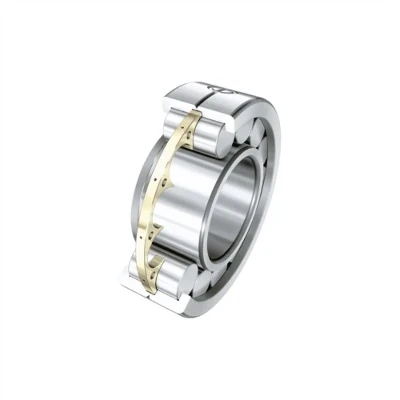 Cylindrical Roller Bearings for SKF