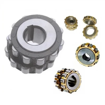 Eccentric Bearing for NSK